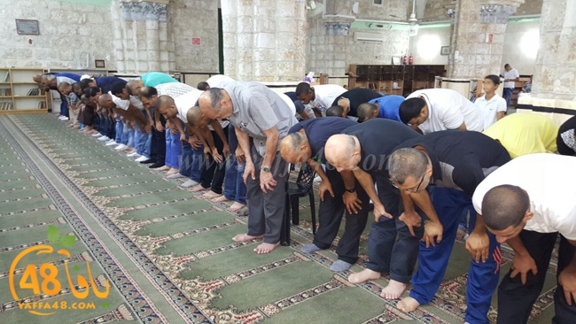 kaber ramla qder (15).jpg